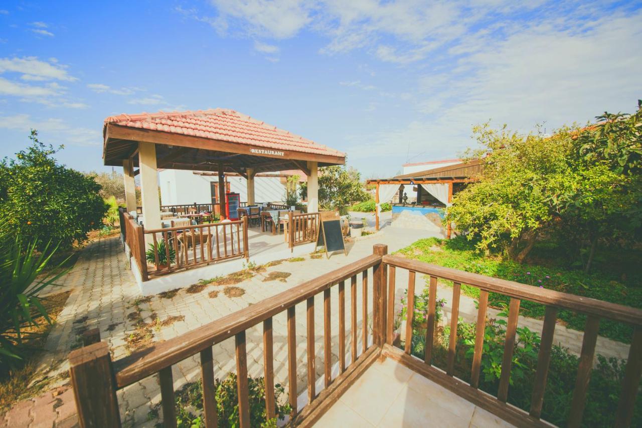 Castle Karpasia Guest House Authentic Atmosphere ! Rizokarpaso 外观 照片