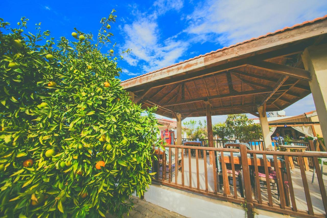 Castle Karpasia Guest House Authentic Atmosphere ! Rizokarpaso 外观 照片